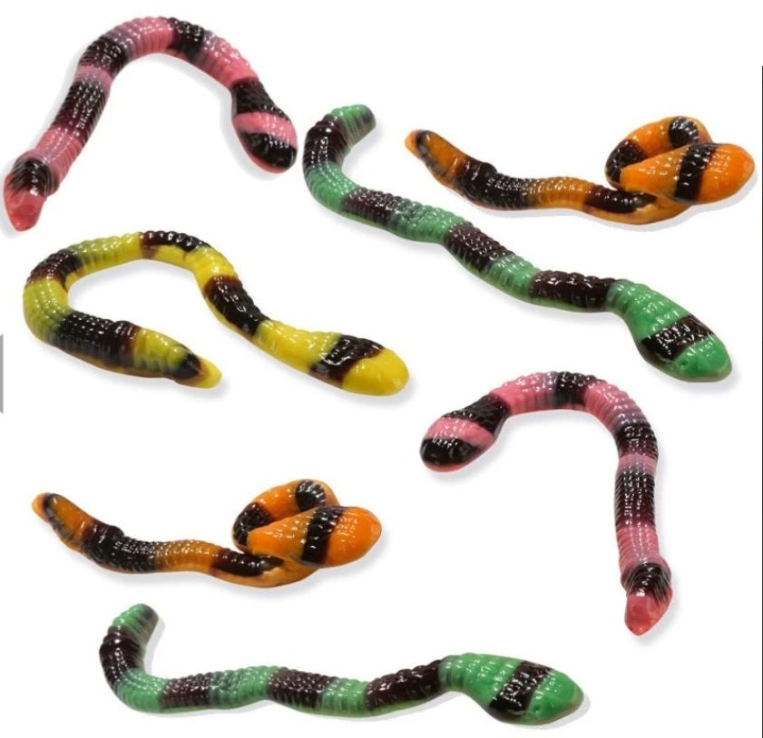 Serpent (Lot de 3 serpent)